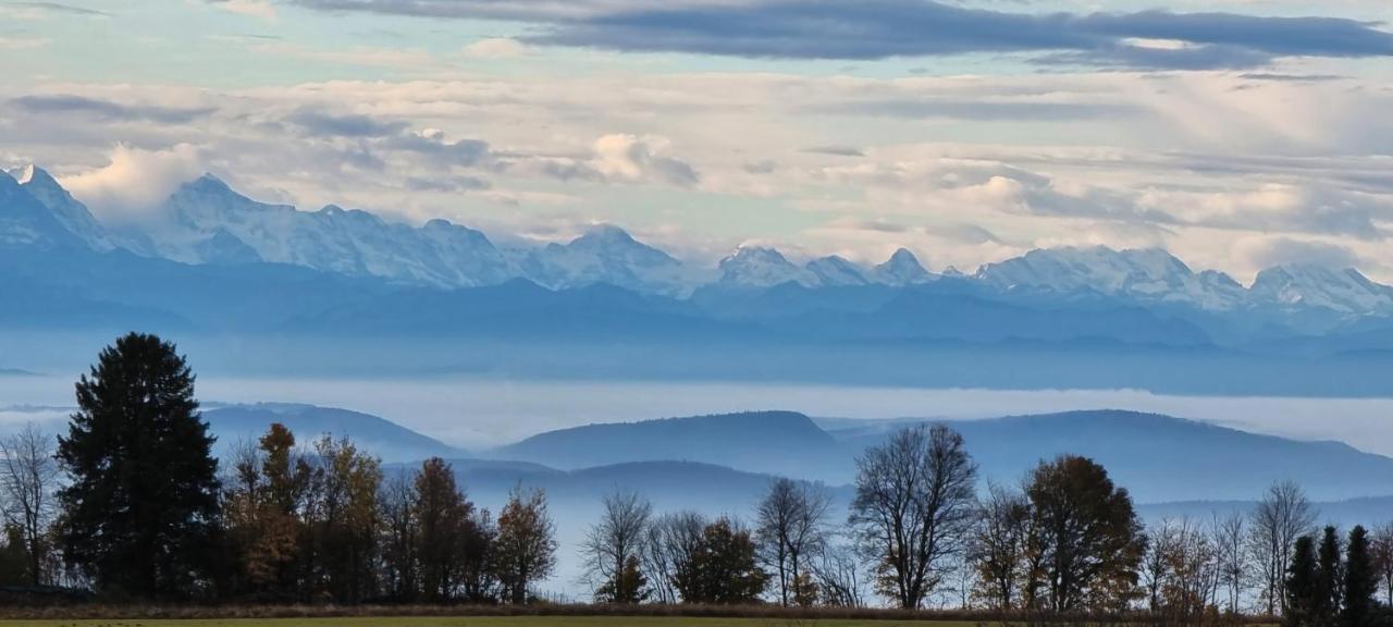 Bio- Und Wellnesshotel Alpenblick Хёхеншванд Экстерьер фото