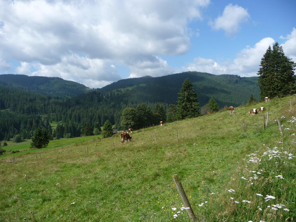 Bio- Und Wellnesshotel Alpenblick Хёхеншванд Экстерьер фото