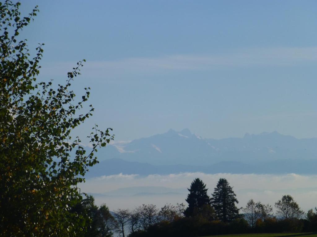 Bio- Und Wellnesshotel Alpenblick Хёхеншванд Экстерьер фото