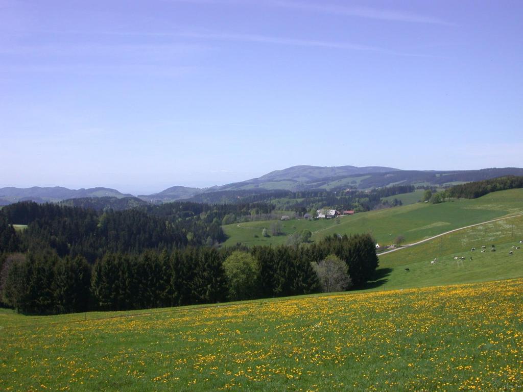 Bio- Und Wellnesshotel Alpenblick Хёхеншванд Экстерьер фото